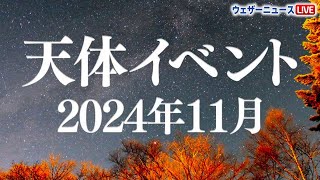 【星空情報】11月の天体イベント 月と惑星の接近に注目！流星群の出現も #おうし座流星群 #しし座流星群