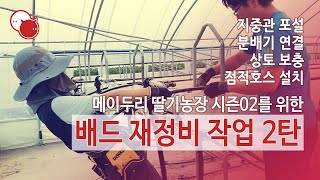 메이두리 브이로그 - 딸기농장 시즌02를 위한 배드 재정비 작업 2탄