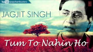Jagjit Singh Ghazal "Wo Nahin Mila" | Tum To Nahin Ho Album | Best Of Jagjit Singh Ghazals