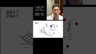 ＜がん遺伝子治療＞「がん遺伝子治療のメカニズム」より④遺伝子/DNA　とは　YouTubeショート #shorts