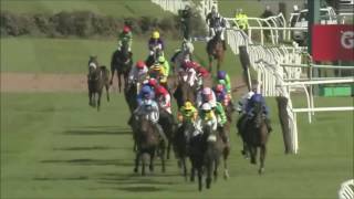 A tribute to Many Clouds {Sad Song} RIP beautiful champ