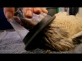 outback wildlife rescue episode 6