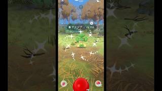 【ポケモンGO】本日取った色違い集！結構嬉しい！#shorts #pokemongo #ポケモンgo #ポケモンgo色違い