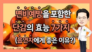 변비를 예방하는 식품 담적병에좋은과일 단감의 효능(담적보감㊻)