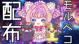 【ポケモンSV】オシャボ５Vタマゴ技モルペコ配布【個人勢VTuber】