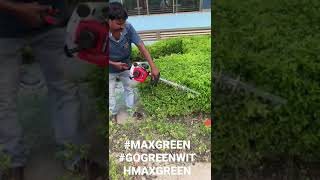 MAXGREEN PETROL HEDGE TRIMMER