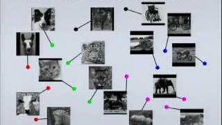 Learning Object Appearance Models via Transformed...