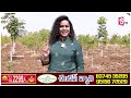 ఒక్క చెట్టు విలువ లక్షల్లో double income with internal crop in sandalwood crop farming @sumantv