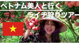 ベトナム美人　バクザンでライチ狩りを楽しむ🍒