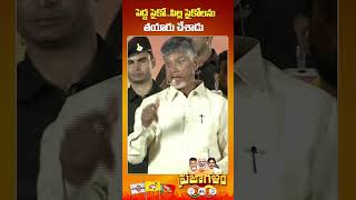 పలాసలో చంద్రబాబు నాయుడు..#PrajaGalamForDemocracy #PrajaGalam #TDPJSPBJPWinning #AndhraPradesh