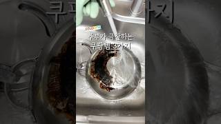 주부를 극찬하는 쿠팡템 3가지 #shorts #shortvideo