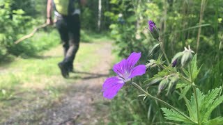 Kyrkleden 2020 - Pilgrimsvandring i Tierps pastorat