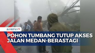 Pohon Tumbang di Hutan Tahura Tutup Akses Jalan Medan-Berastagi