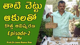 తాటి చెట్టు ఆకులతో కొత్త ఆవిష్కరణ Episode-2 By Prof.Dr.Jana Rama Rao Garu | JR TV