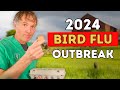 2024 Bird Flu Outbreak: Should Pet Owners Be Alarmed?