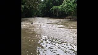 Costa Rica. Peñas Blancas river soft rafting.