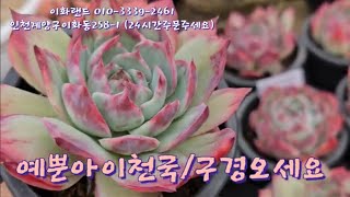 특집/예뿐아이천국/나는농부다282회출연