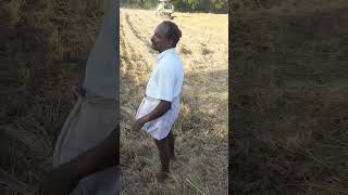 விவசாயிகள் நெல் அறுவடை #trending #farming #backyardgarden #agriculture #viralvideo