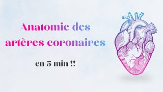 Anatomie des artères coronaires en moins de 5 minutes !!