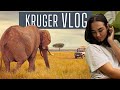 Planning a Self Drive Safari – The Ultimate Guide to Kruger National Park