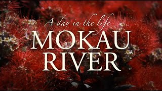 Mokau Mini Documentary