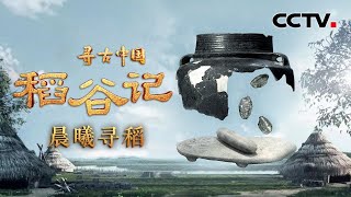 8000年前的海鲜饭长啥样？一起“穿越”千年，了解古人的烹煮技艺！《稻谷记·晨曦寻稻》| CCTV「寻古中国」20230815