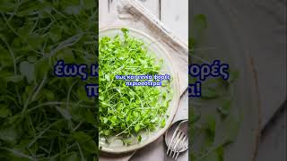 Είναι τα Microgreens Θρεπτικά; Ανακαλύψτε τα ωφέλη!