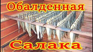 САЛАКА ГОРЯЧЕГО КОПЧЕНИЯ В ДОМАШНИХ УСЛОВИЯХ / РЕЦЕПТ ОТЛИЧНОГО РАССОЛА ! Smoked fish !