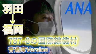 【ANAで羽田から福岡】B787-8の普通席バージョン！「今週のトクたびマイル」だと往復6000マイル❗️