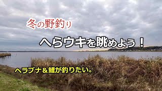 冬の野釣りで鯉やヘラブナが釣りたい　北風の霞ヶ浦に挑戦！　【Carp fishing trip】