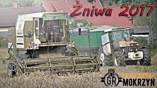 Żniwa w GR Mokrzyn [ 2x URSUS \u0026 4x FORTSCHRITT ] Transport zboża na silosy ☆ GoPro #18 ㋡ Bronczek