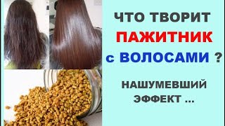 Что творит пажитник с волосами ?