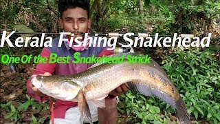 Kerala Fishing Snakehead with Spinning Rod \u0026 Best Snakehead Strick on First Cast🎣🎣🎣