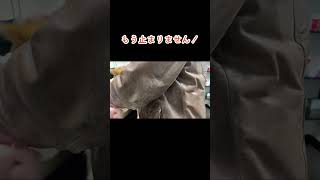 【柴犬の子犬】予防接種で大絶叫！思わず日本語で抗議する子犬#shorts