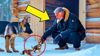 Freezing Mama Dog Brought Puppies To Stranger's Door - What Happened Next LEFT HIM IN TEARS!