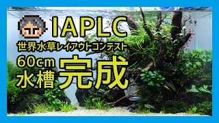 アクア師匠60cm水槽【ADA】IAPLC 世界水草レイアウトコンテスト2017②作品発表