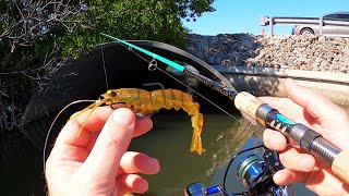 Twitch this Lure and Hold On! Fake Shrimp Fishing Crush!