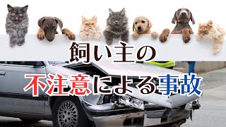 飼い主の不注意による事故