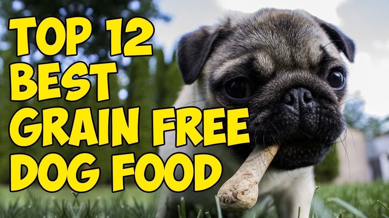 Top 12 Best Grain Free Dog Foods For 2019 - YouTube