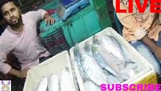 biggest hilsa(Ilish)fish market in chandpur 2018 | বৃহত্তম ইলিশ মাছ মার্কেট - চাঁদপুর | ইলিশ এর বাড়ি