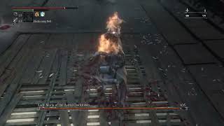 So I fought Lady Maria in NG+ ...