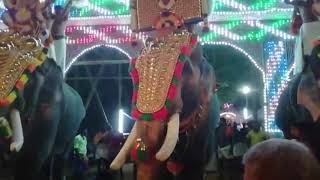 Pullode Vela (Pooram) 2019