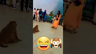 Didi Darr Gayi #viral #ytshorts #monkey