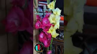 যে অন্ধ সুন্দরী কাঁদে//শামসুর রাহমান//#@uncutruby2038