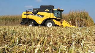 Pure sound | New holland cx 780 + lama 5 file