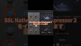 「ドラムバスに最適！SSL バスコンプ+サチュレーション」