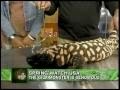 NWF Naturalist David Mizejewski on Mike & Juliet (2007)