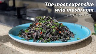 云南野生菌--干巴菌，The most expensive wild mushroom in Yunnan。