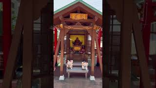 沖繩 達磨峰西來院 沖繩版小稻荷神社⛩️⛩️⛩️位於首里站下來的景點，滿滿的鳥居一定得拍啊✨  #沖繩 #西來院 #鳥居