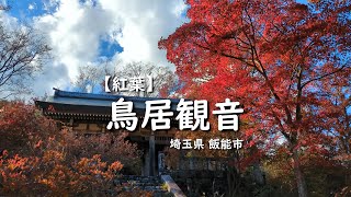 【紅葉】鳥居観音